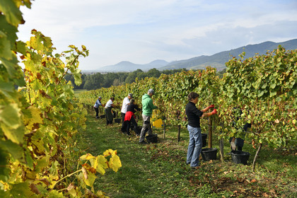 France, Dambach la Ville