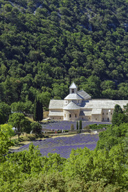 France, Senanque