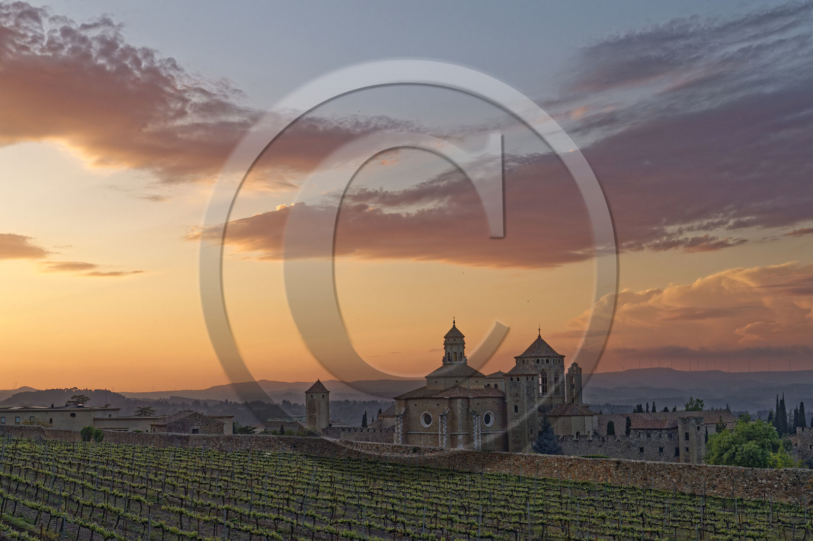 Espagne, Poblet