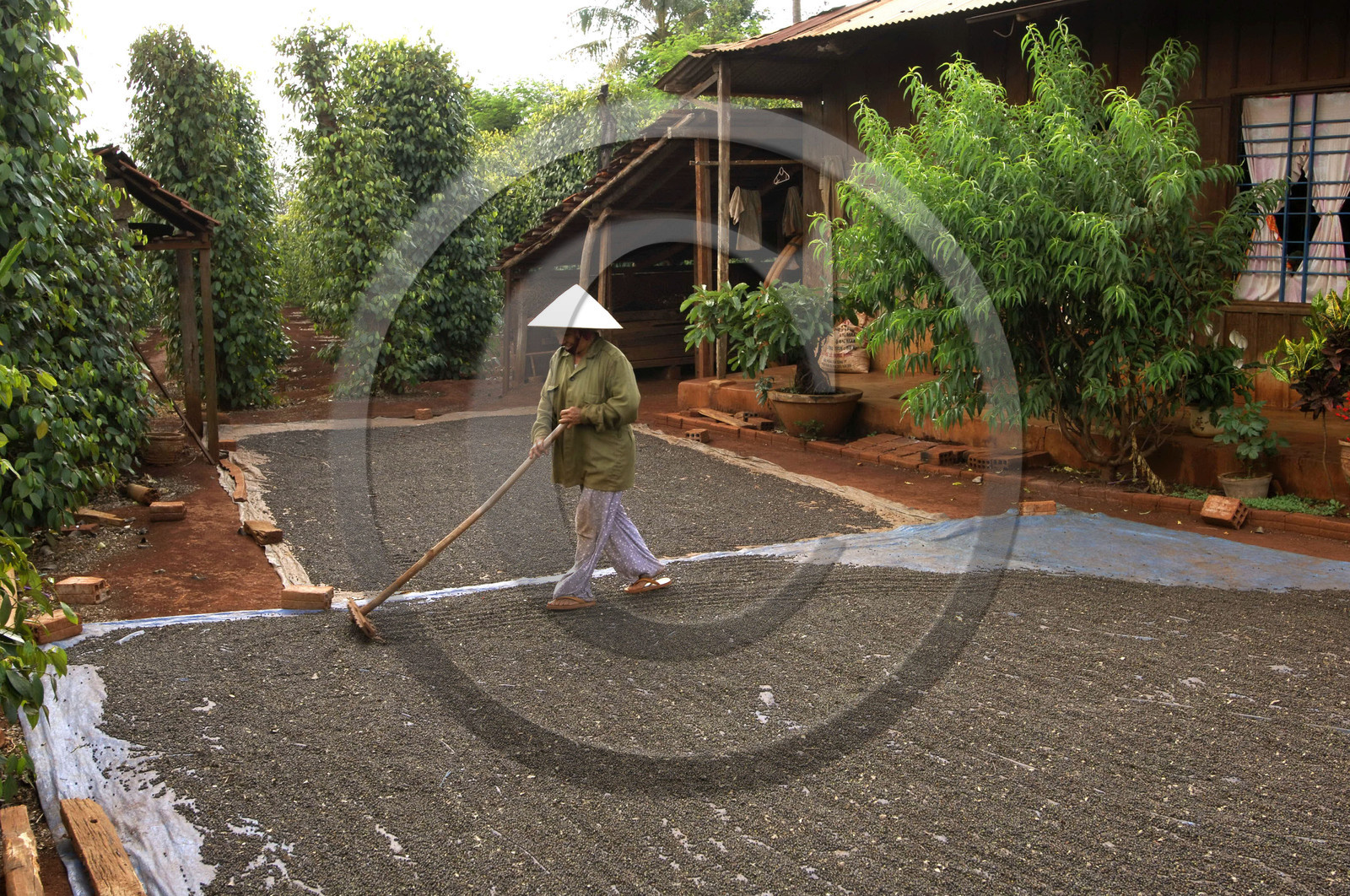 HAUTS PLATEAUX DU CENTRE, VIETNAM