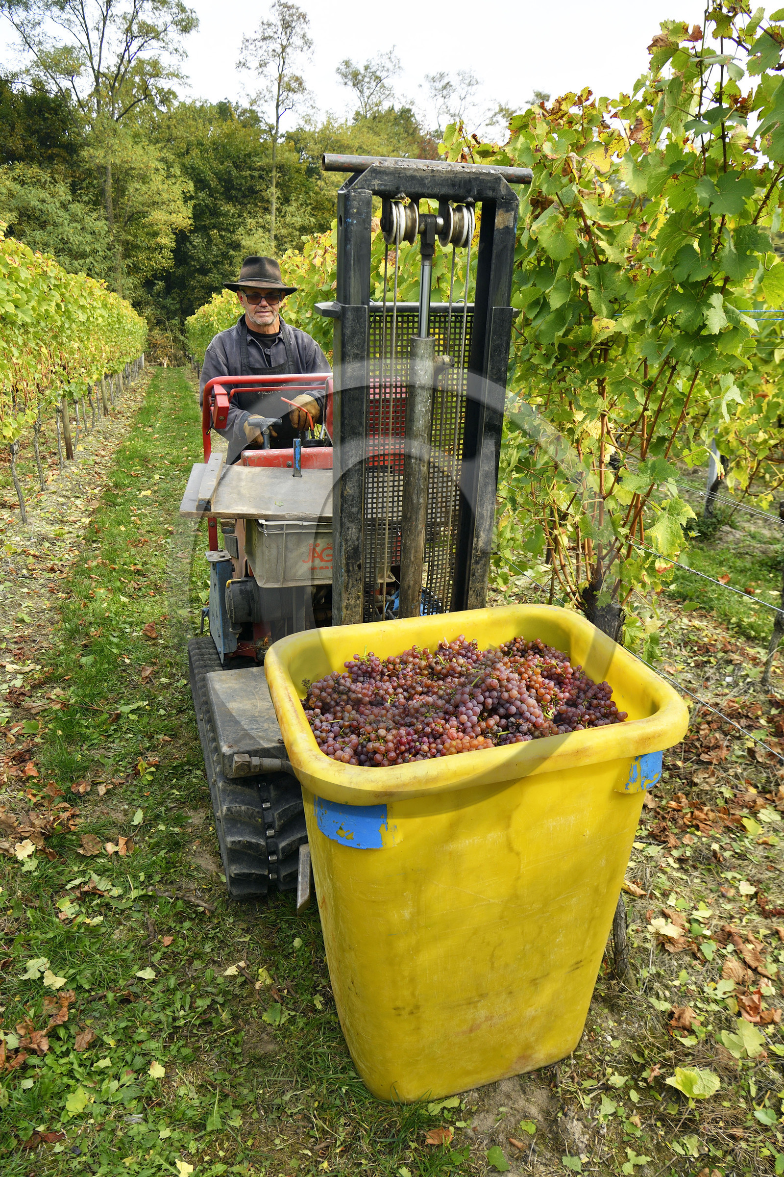 France, Dambach la Ville
