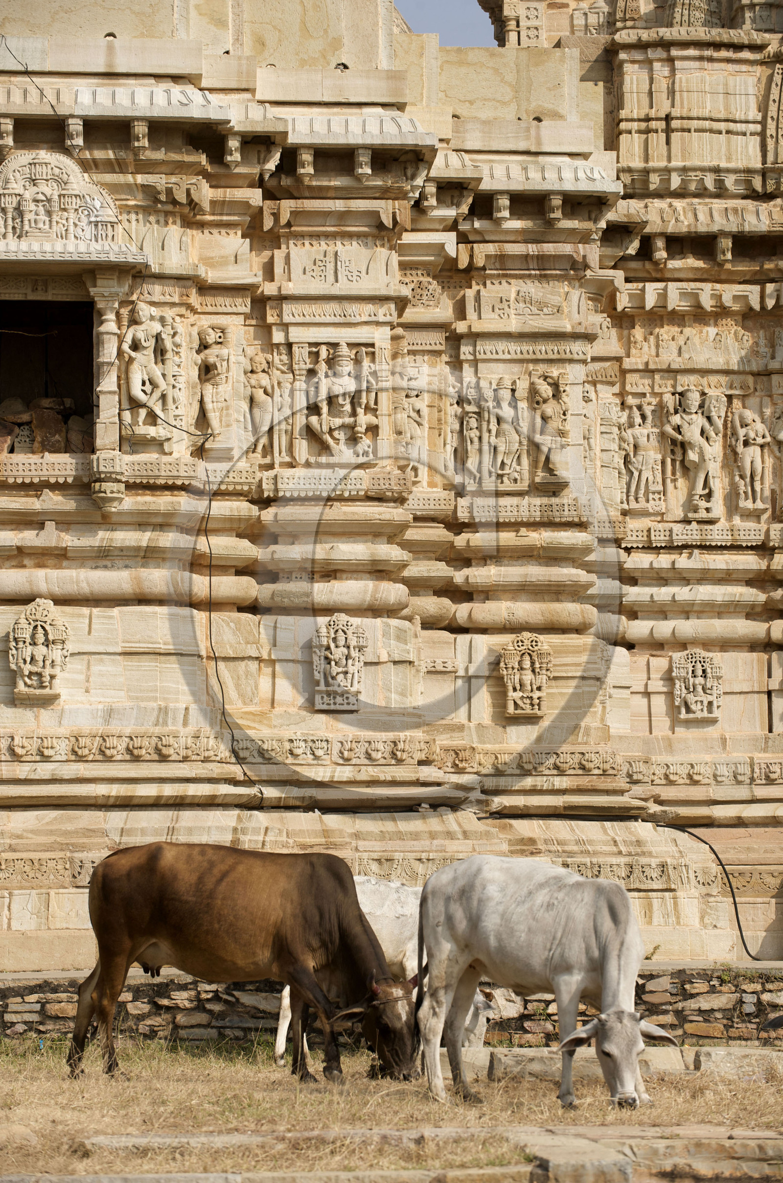 Inde, Chittorgarh