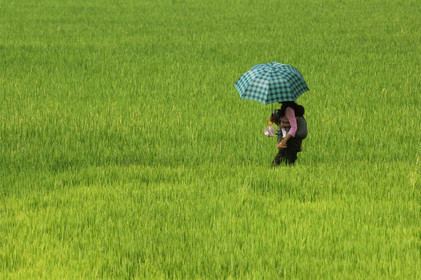 HAUTS PLATEAUX DU CENTRE. VIETNAM