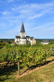 France, Boscherville