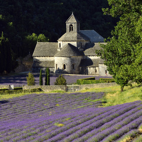 France, Senanque