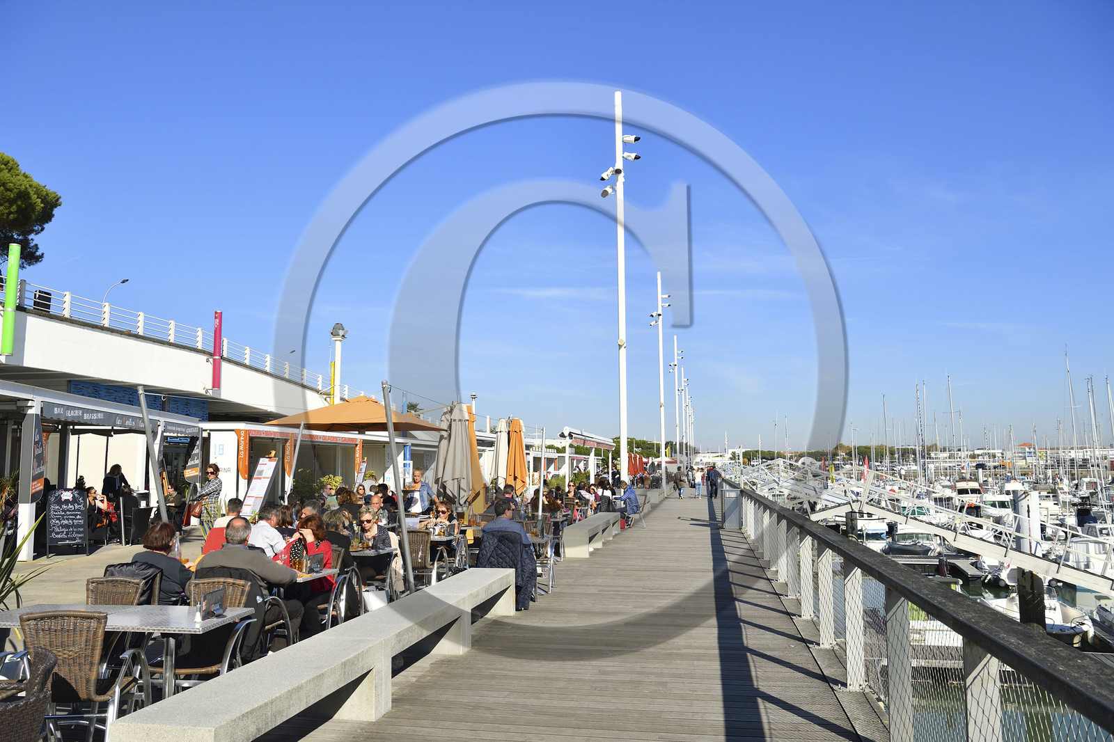 France charente maritime royan port