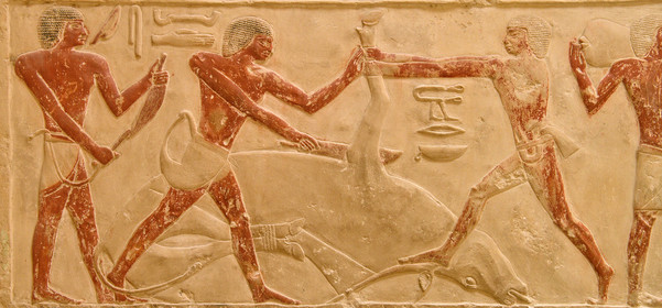 Egypte, Saqqara