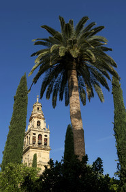 Espagne, Cordoba