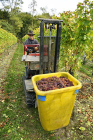 France, Dambach la Ville