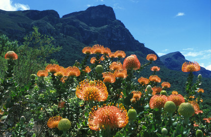 AFRIQUE DU SUD