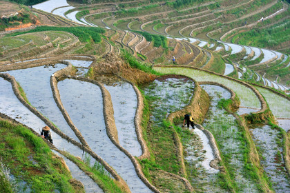 Chine, Longsheng