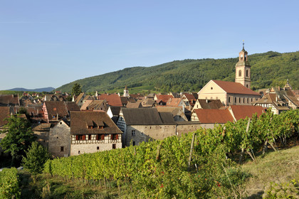 France, Riquewihr