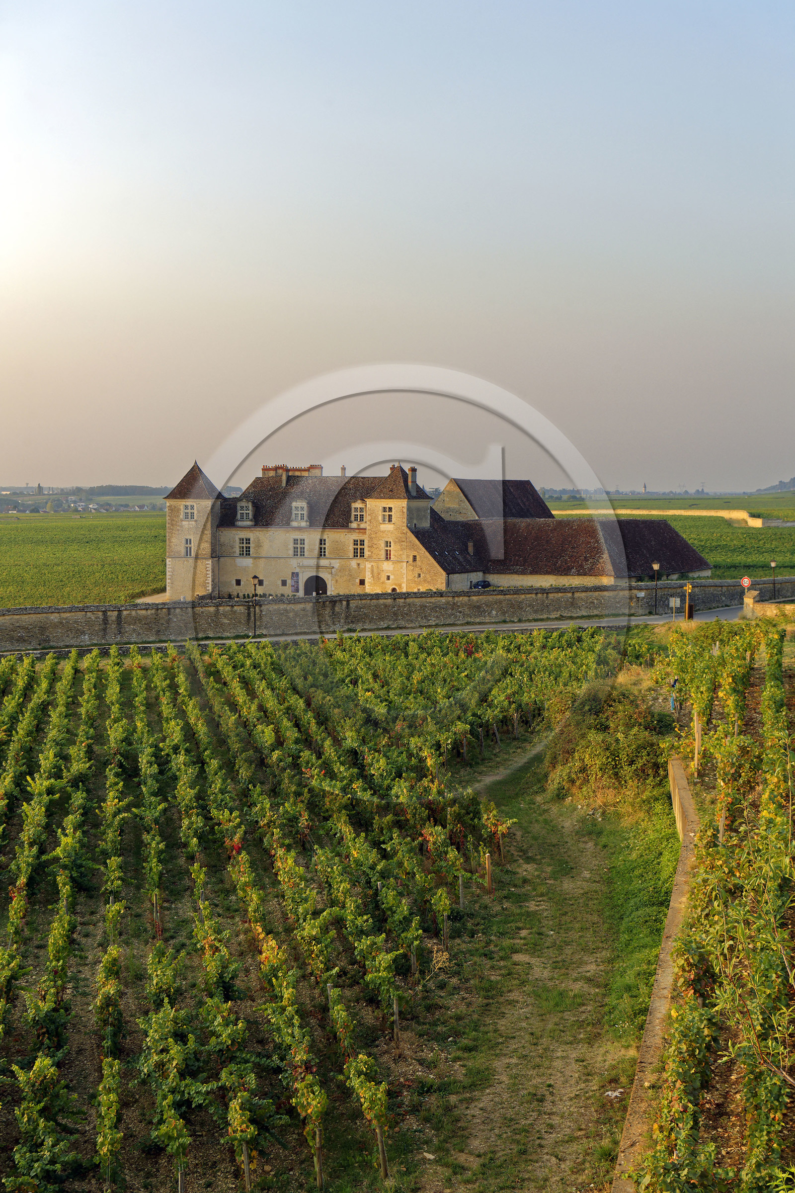 France, Vougeot
