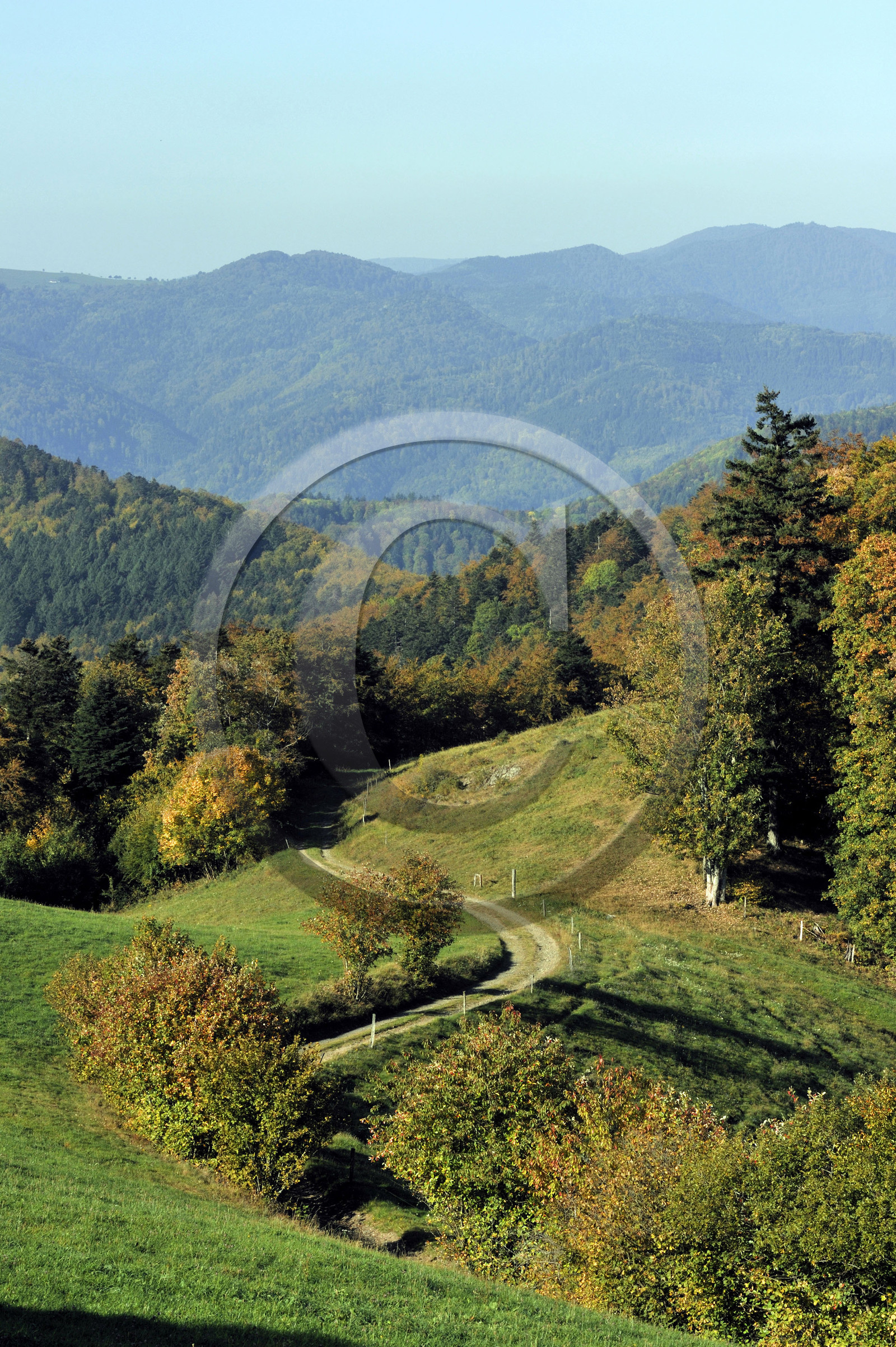 France, Grand Ballon