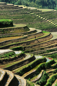 Chine, Longsheng