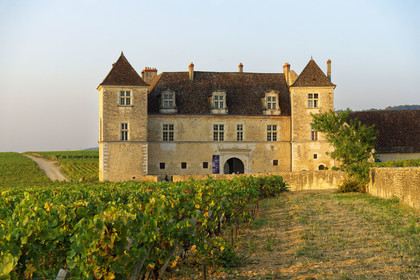 France, Vougeot