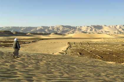 Egypte, Dakhla