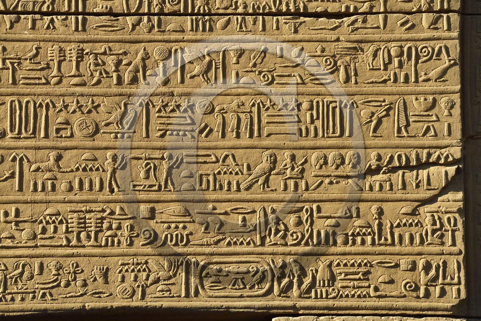 Egypte, Kom Ombo