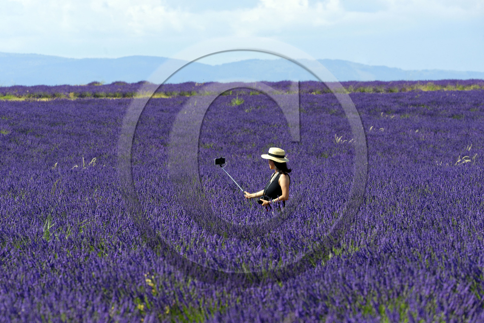 France, Valensole