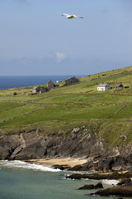 Irlande, Dingle