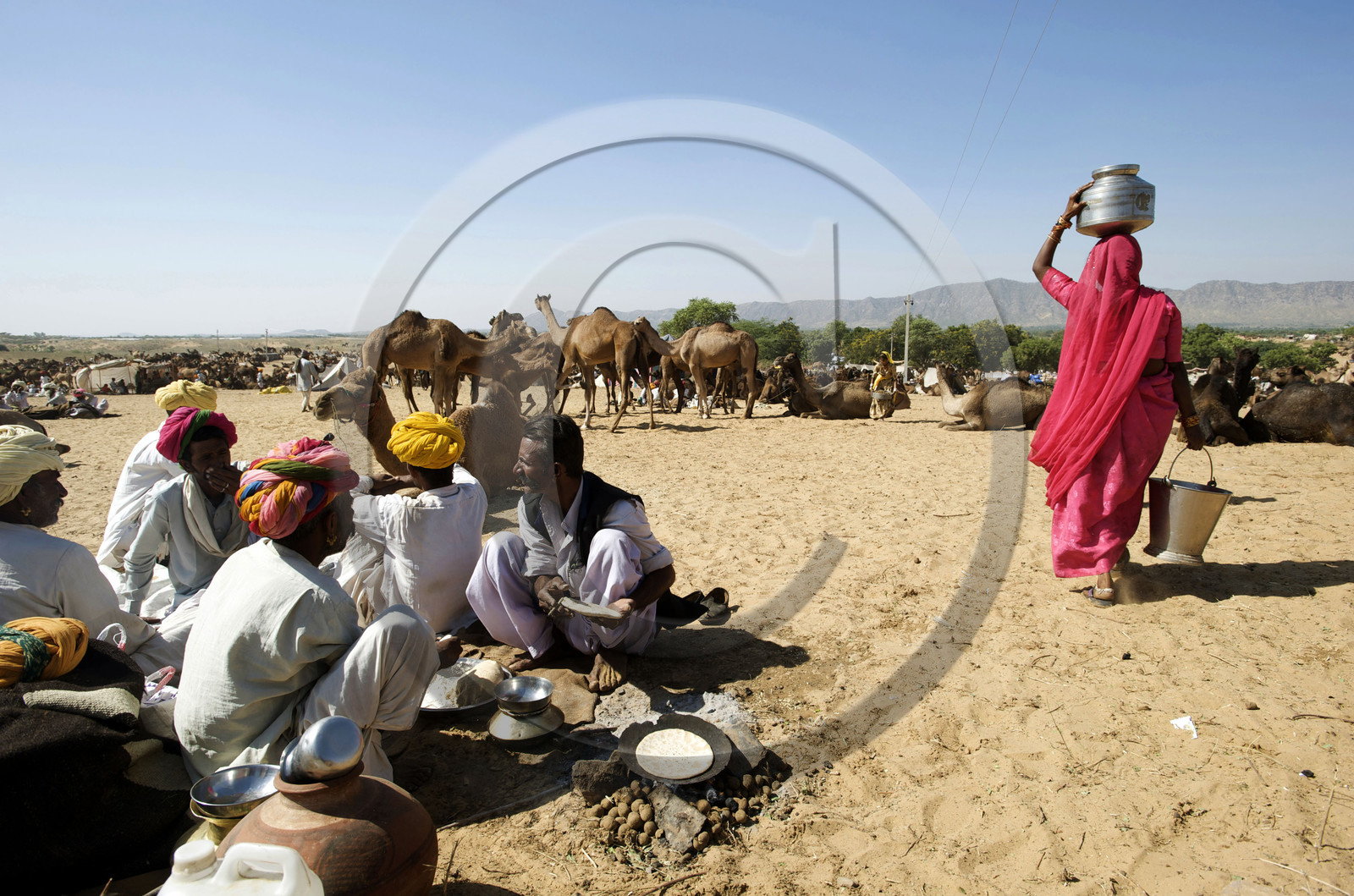 Inde, Pushkar