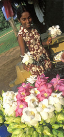 SRI LANKA