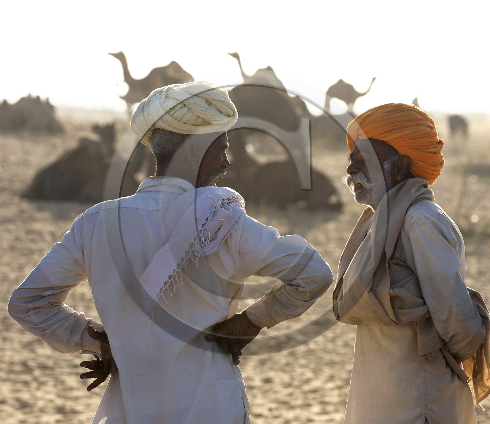 Inde, Pushkar
