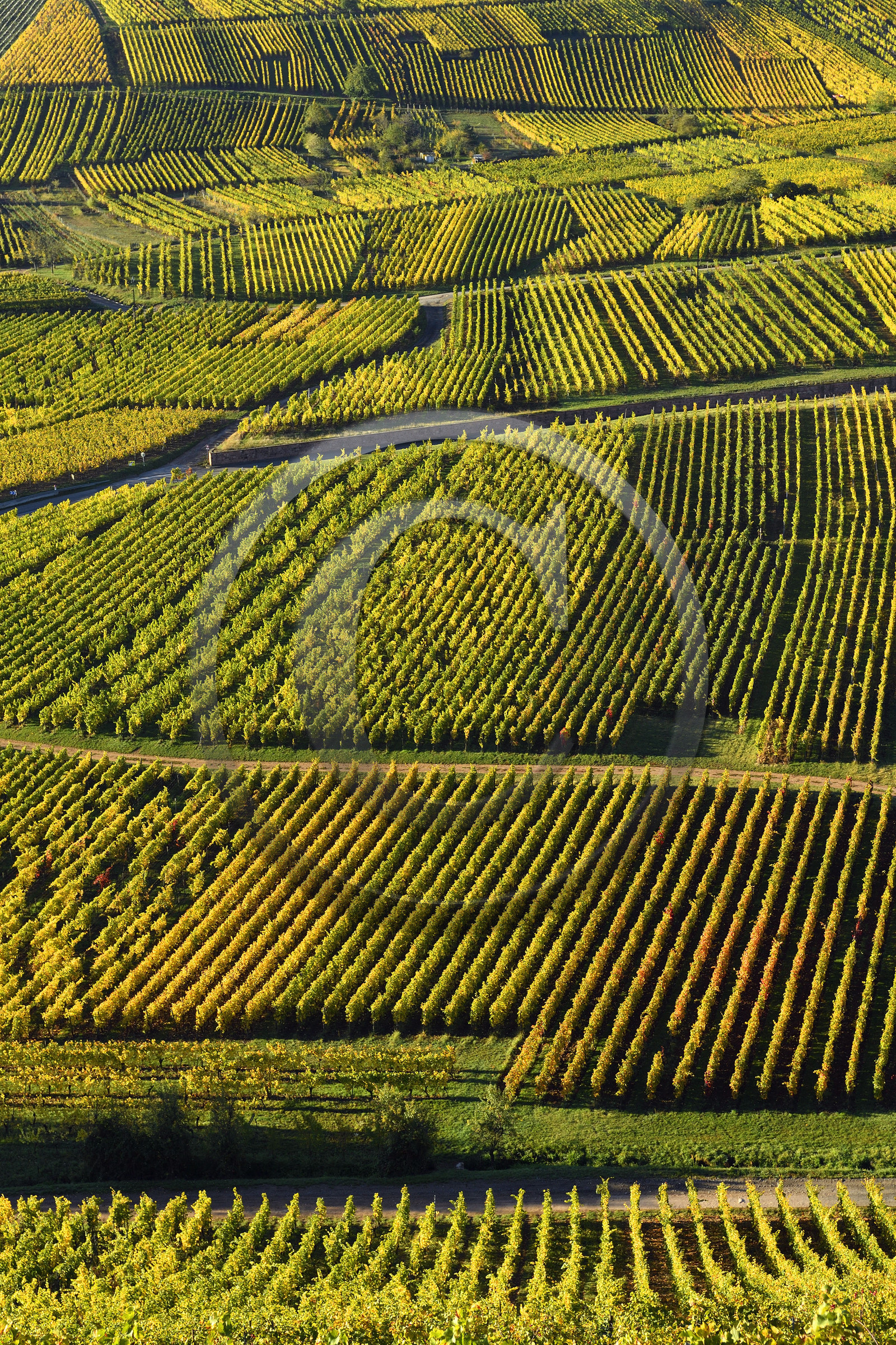 France, Niedermorschwihr