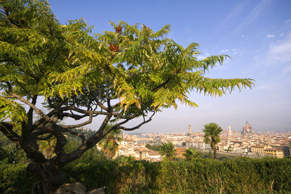 Florence,Italie