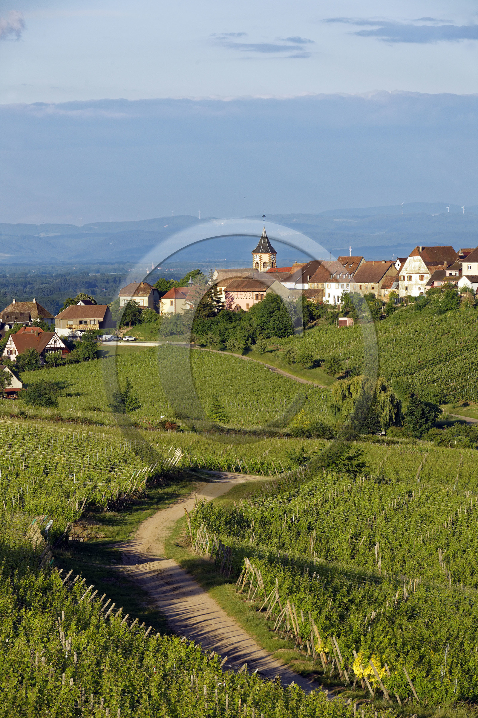 France, Zellenberg