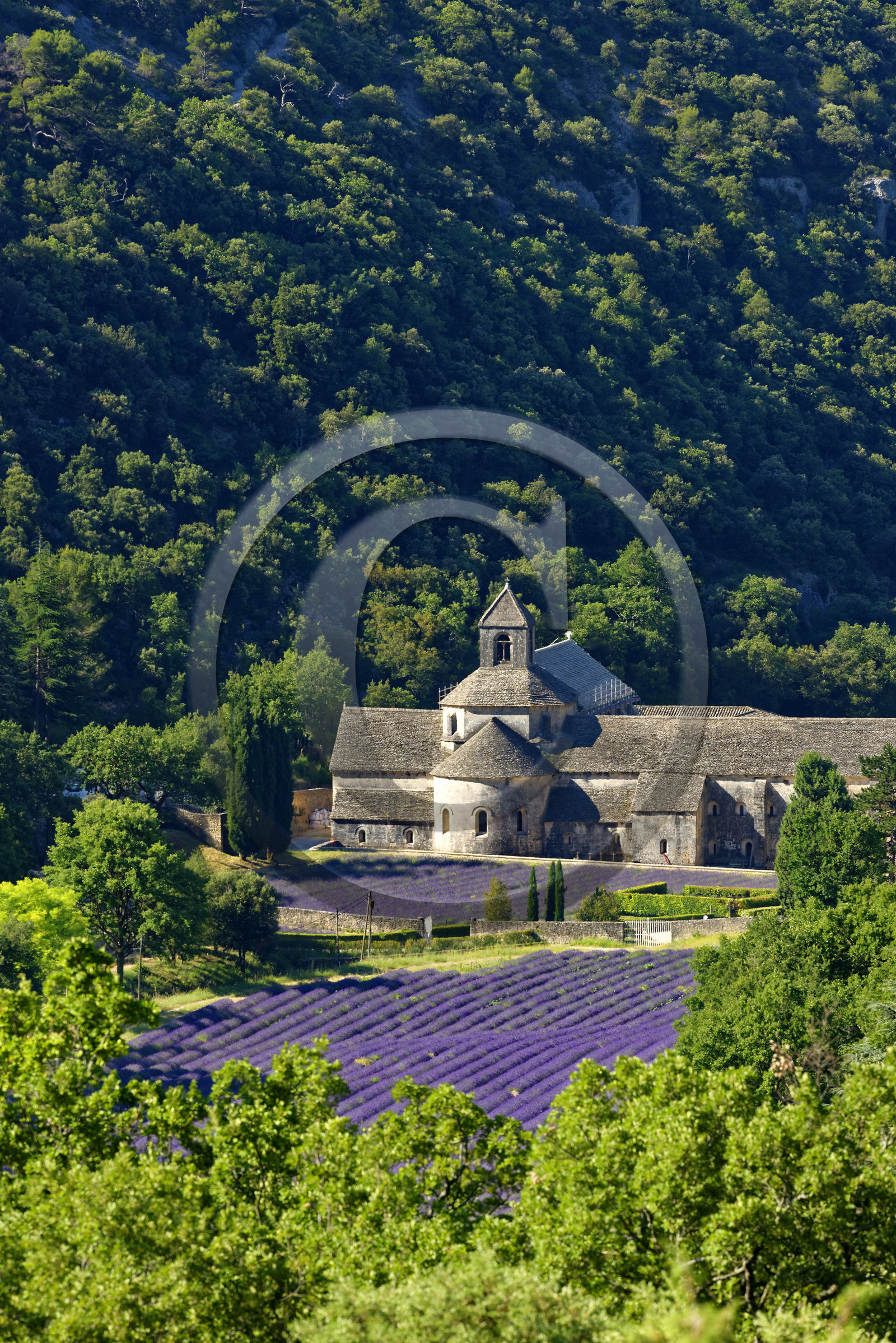 France, Senanque