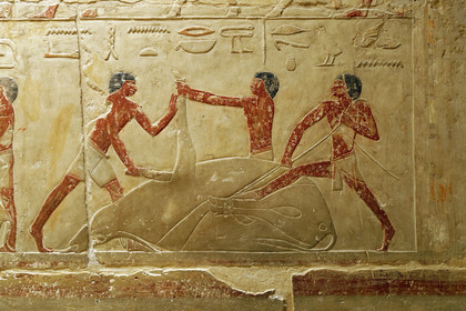 Egypte, Saqqara