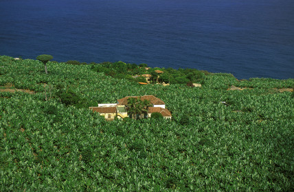 Canaries. Espagne