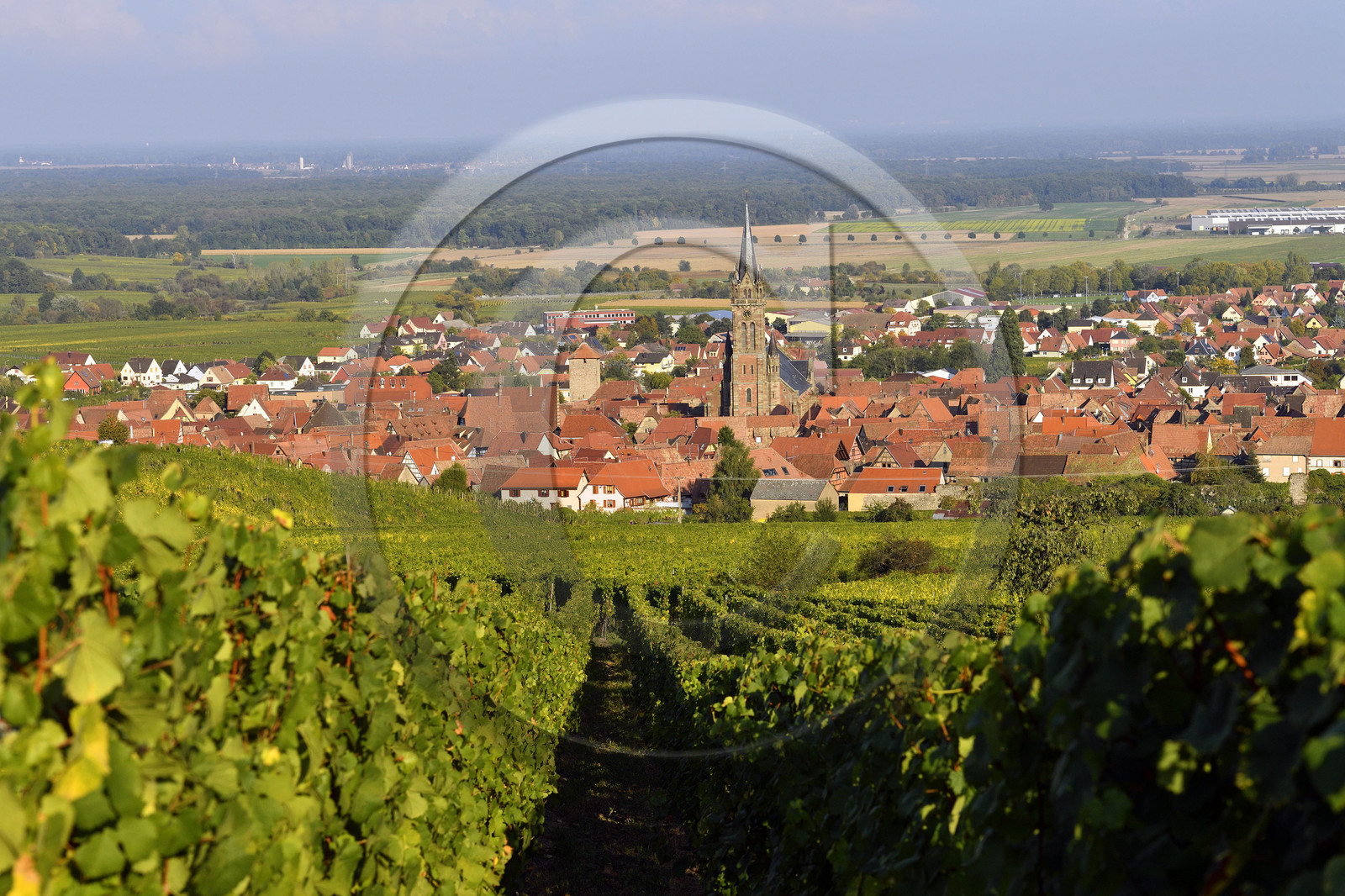 France, Dambach la Ville