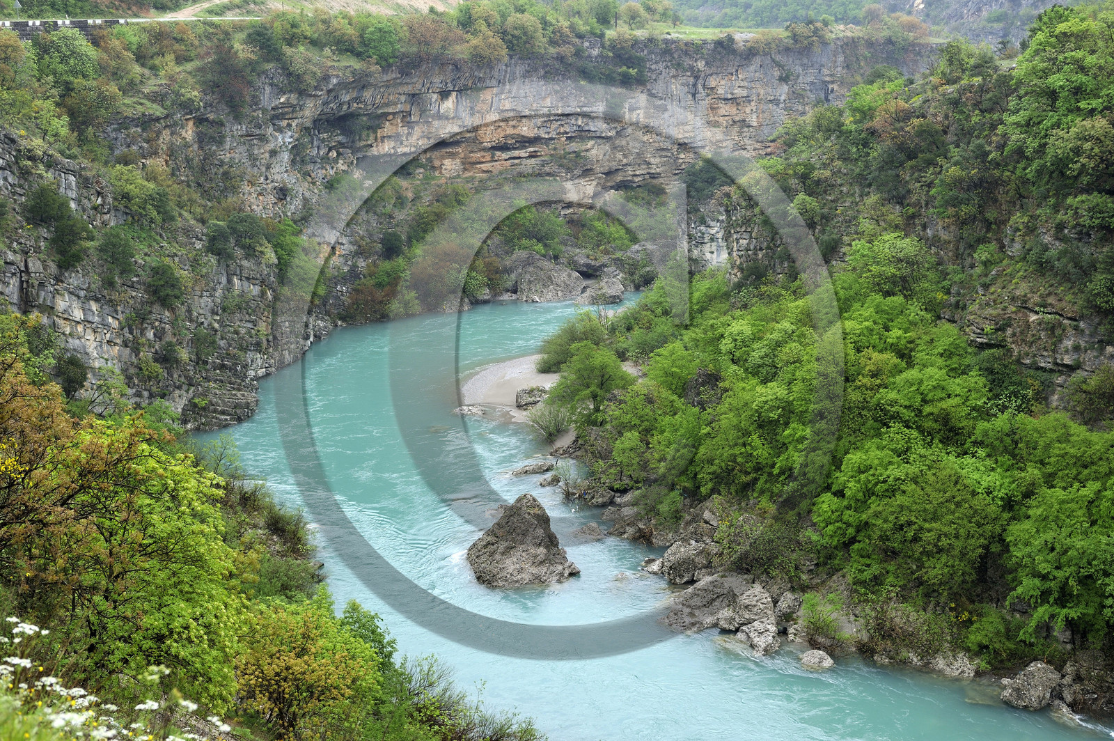 Montenegor, Moraca