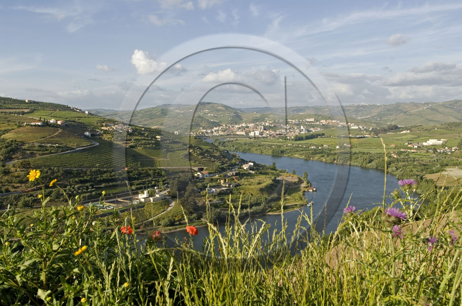 Douro, Portugal