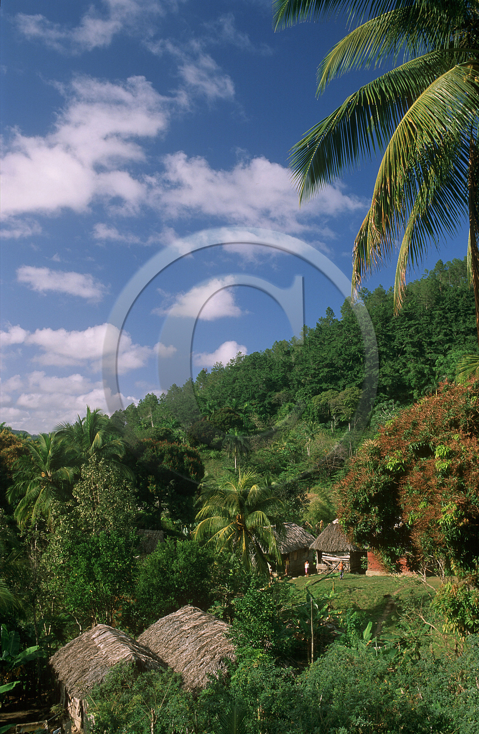 RÉGIION DE BARACOA.CUBA