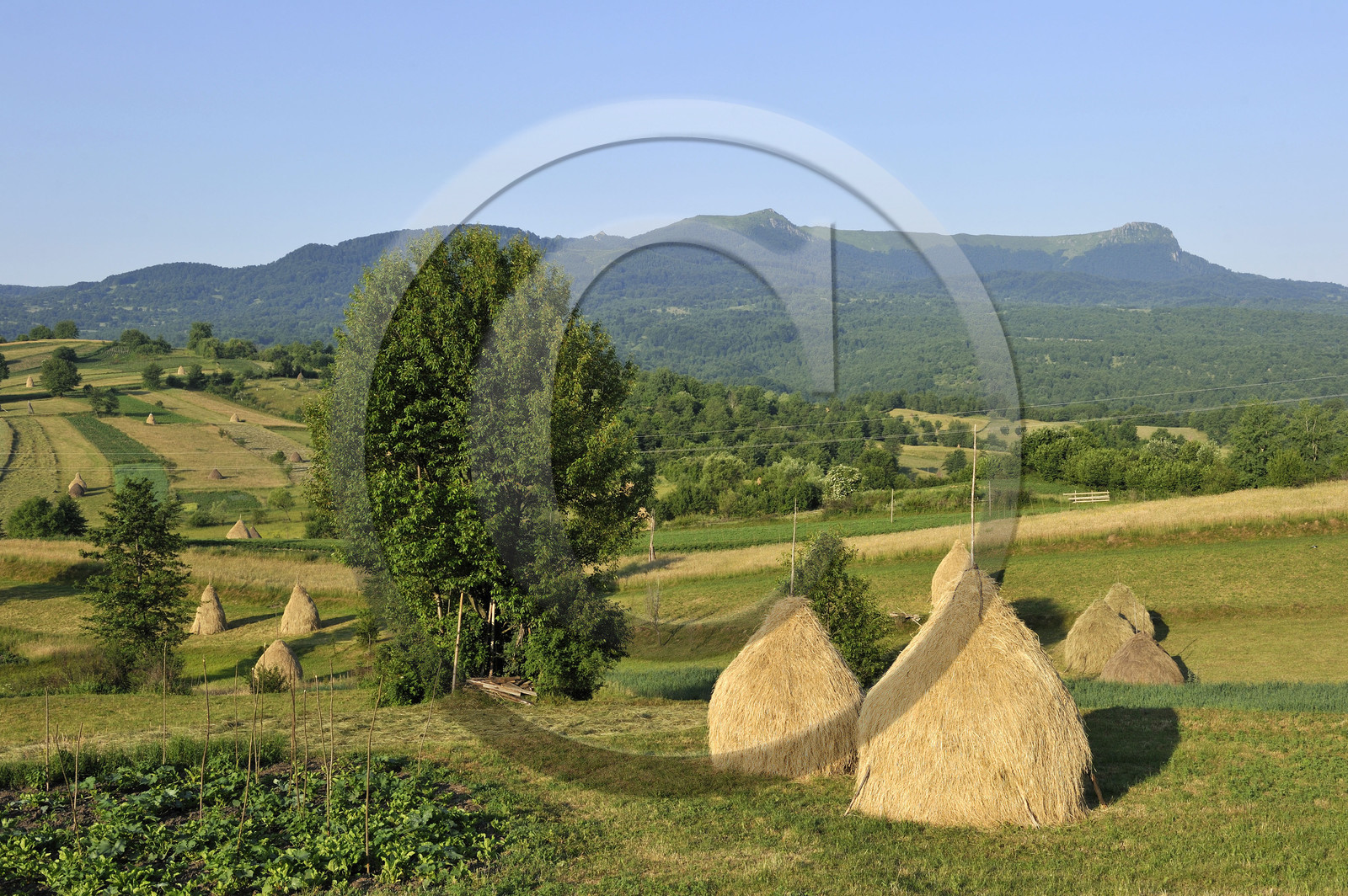 Roumanie, Maramures