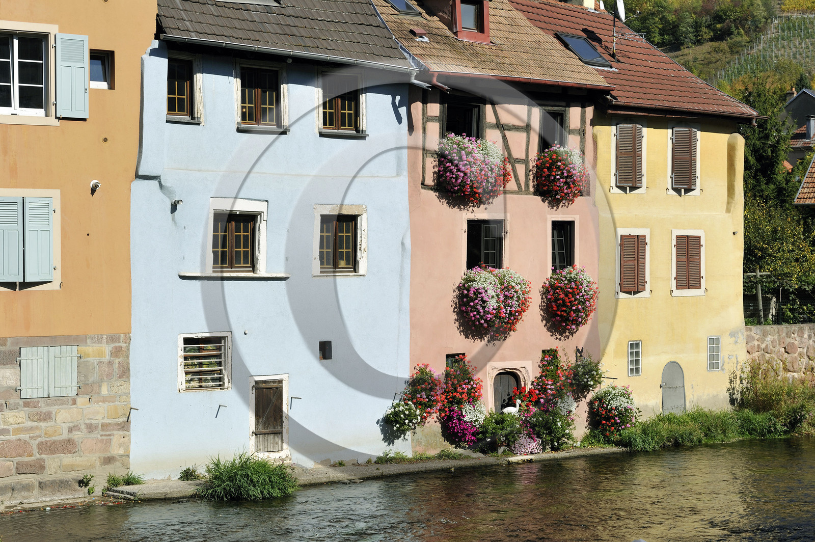 France, Thann