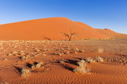 Namibie, Sossusvlei