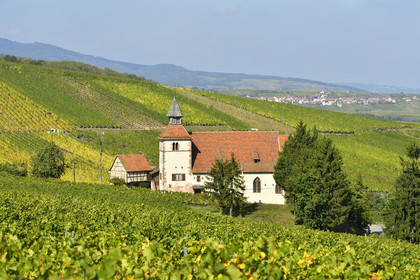 France, Dambach la Ville