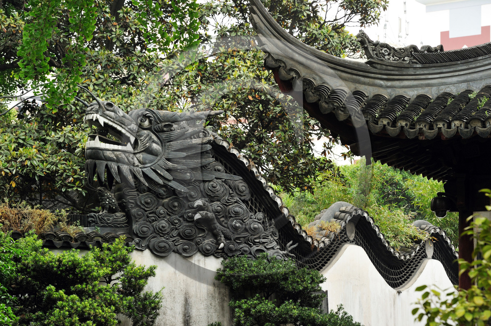 Chine, Shanghai