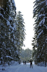 France, Franche-Comte