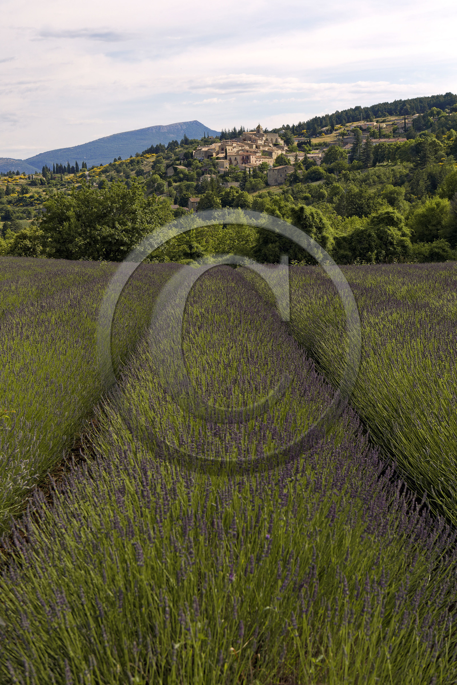 France, Mont Ventoux