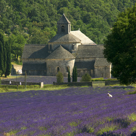 France, Senanque