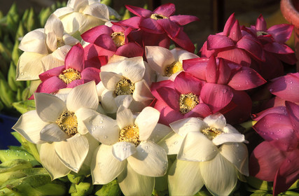 SRI LANKA