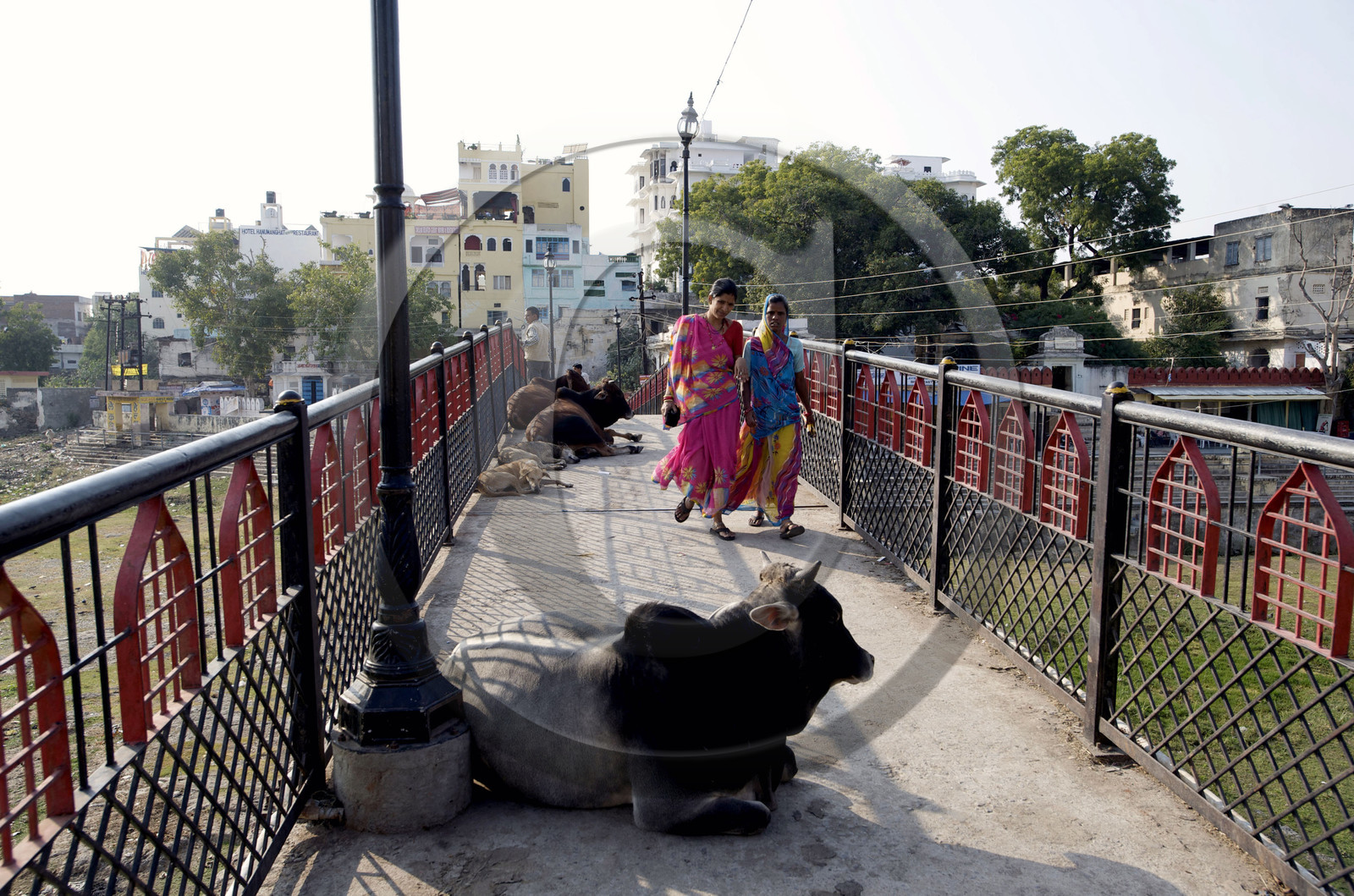Inde, Udaipur