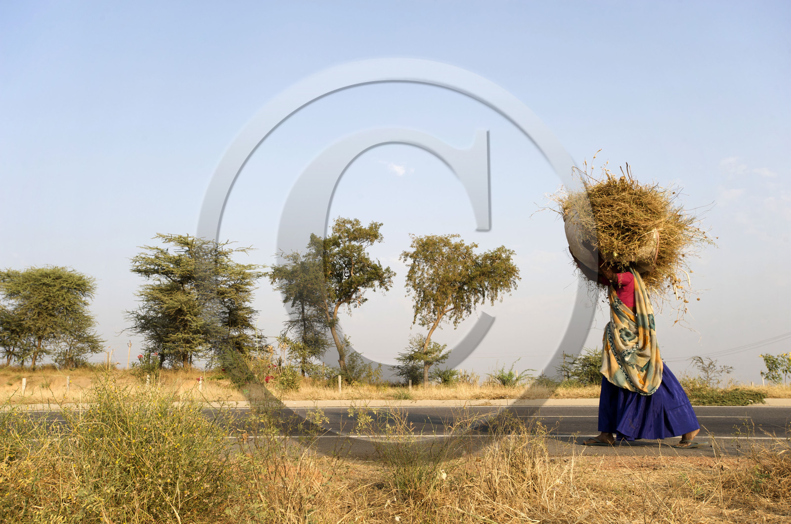 Inde, Gujarat