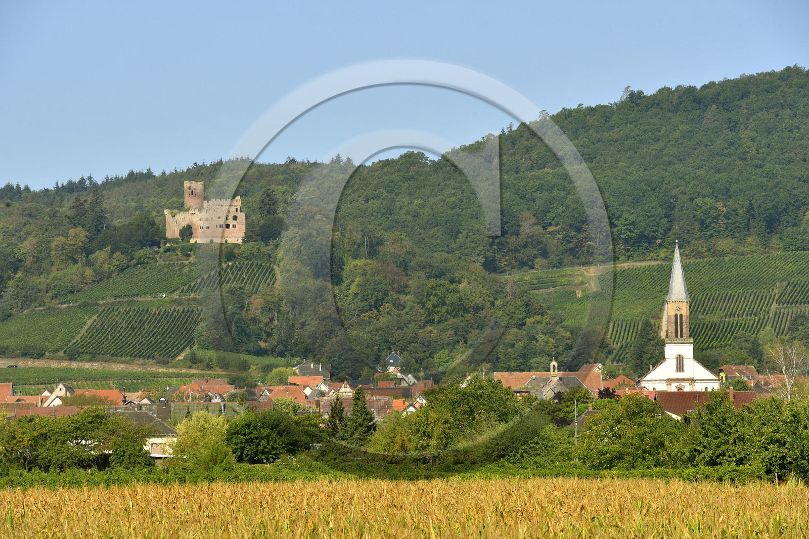 France, Kintzheim