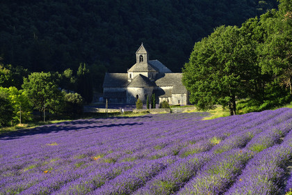 France, Senanque